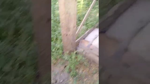 обзор на улице и где я живу смотреть онлайн