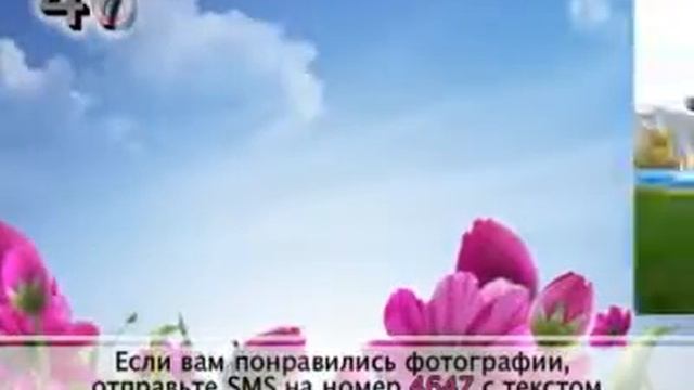 Во саду ли, в огороде. Выпуск 14. Тагил-ТВ. смотреть онлайн