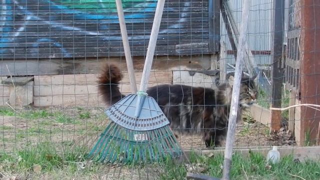 Варлак заключенный смотреть онлайн