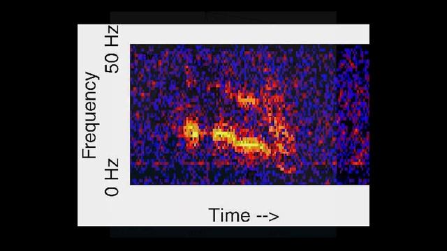 The Unexplained Mystery Of Julia (Julia Beast)