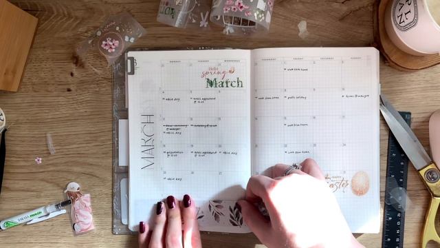 Catchall planner setup | March 2024 смотреть онлайн