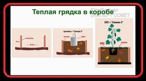 Урожайные грядки. Часть 2.  В чём суть тёплой грядки. (Грядки Хольцера. Пермакультура)