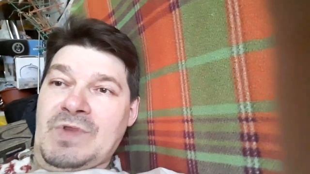 мозайка сиамская леди смотреть онлайн