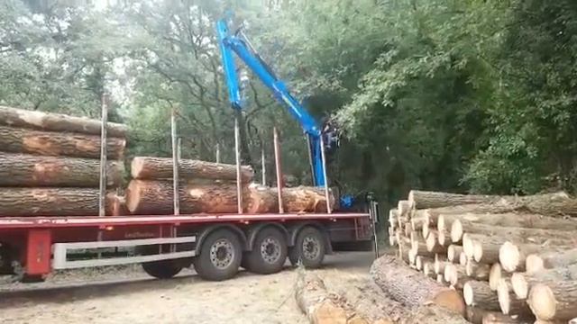 PALFINGER EPSILON C80L EN ACCION смотреть онлайн