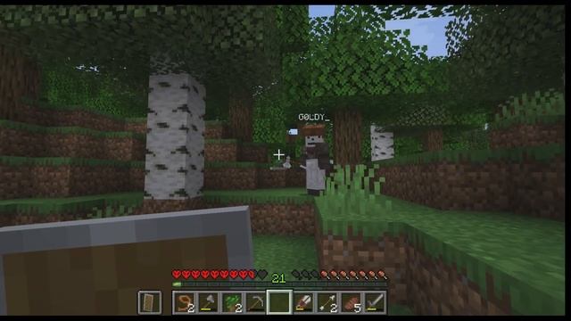 Я СМОГ СДЕЛАТЬ СВОЙ ДОМ В ХАРДКОРЕ! смотреть онлайн