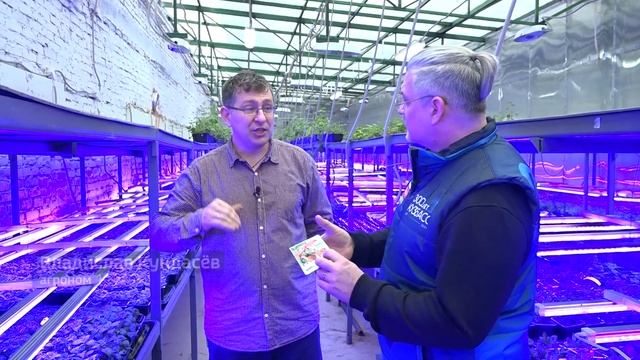 Вести.Интервью: Владислав Кундасев, агроном смотреть онлайн