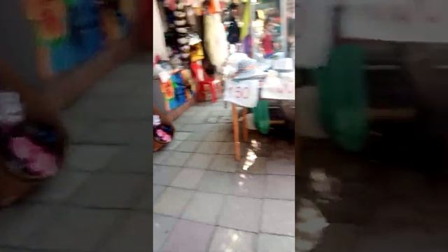 Влог судак часть 1