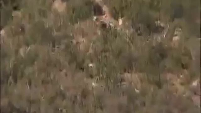 Вот это охота смотреть онлайн