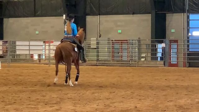 First IEA Reining!