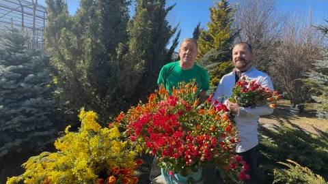 Олег Зубков и доктор Василий поздравляют всех женщин с Днем 8 Марта!!! смотреть онлайн