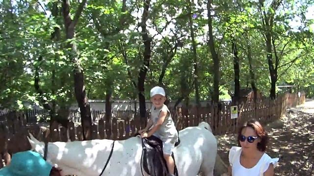Лев на лошади смотреть онлайн