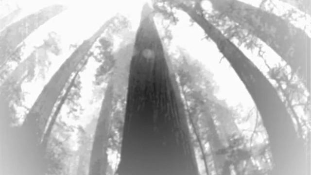 Coyote Song Remix 008 Produced By Blue Daisy смотреть онлайн