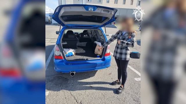 Начальник тыла транспортной полиции Камчатки заключен под стражу смотреть онлайн