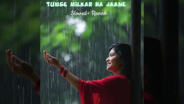 Tumse Milkar Na Jane (Slowed+ Reverb) | Pyar Jhukta Nahin | Mithun Chakraborty, Padmini @tseries
