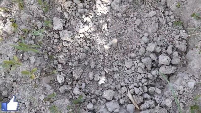 Мой огород. смотреть онлайн