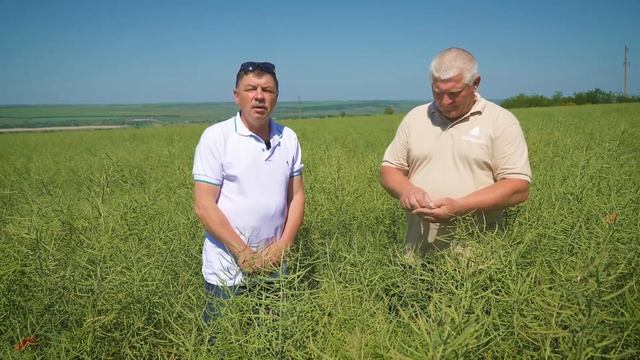 Універсальна дискова борона ZEUS Verti-Till VELES AGRO смотреть онлайн