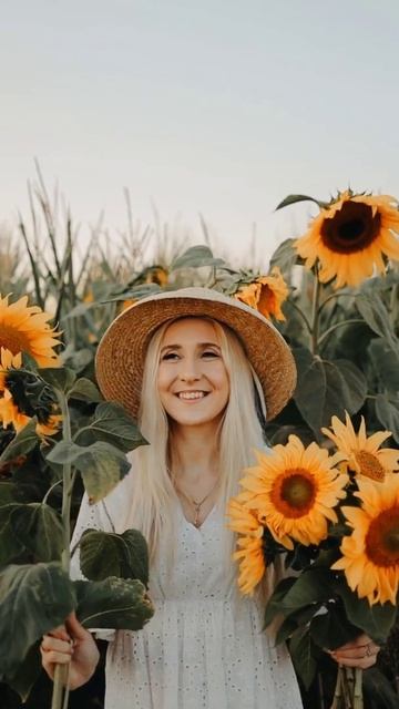 Sunflower. смотреть онлайн