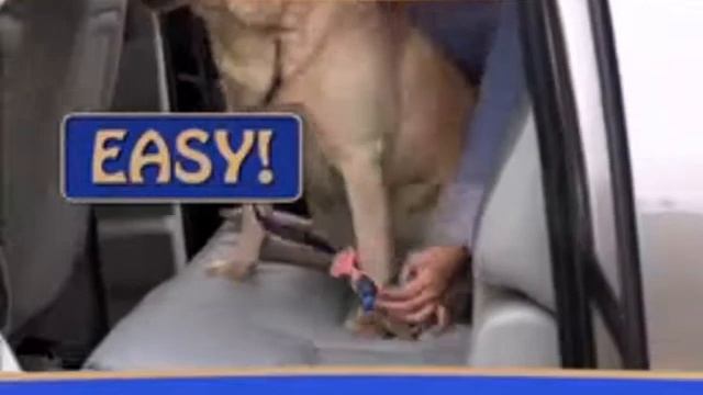 Pet Car Seat Belt смотреть онлайн