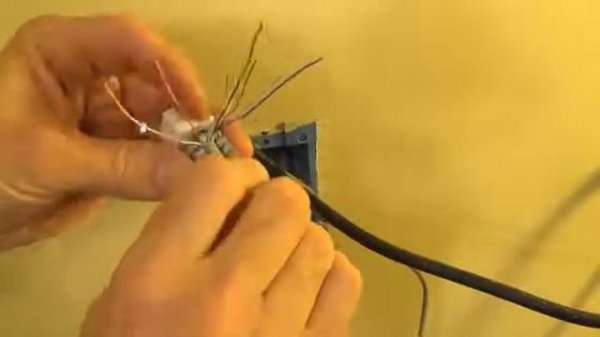 How to Install a Cat 5e Network Cable Wall Plug Jack RJ45 YouTube