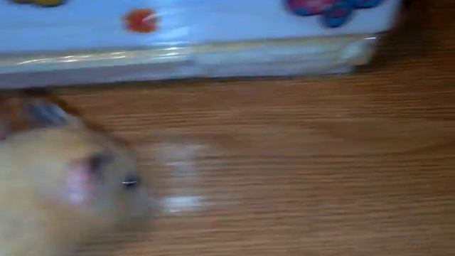 Привет: ) это мой новый канал