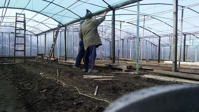 Как мы накрываем теплицы смотреть онлайн