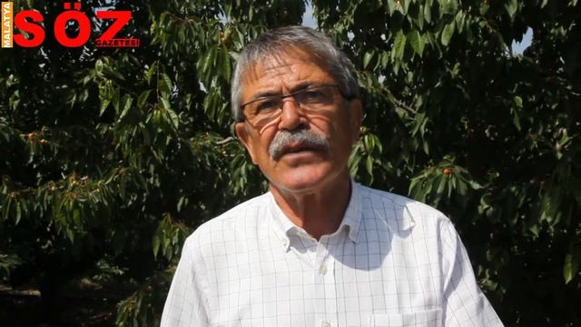 Dalbastı Kirazı Yeni Hasat Dönemine Hazırlanıyor