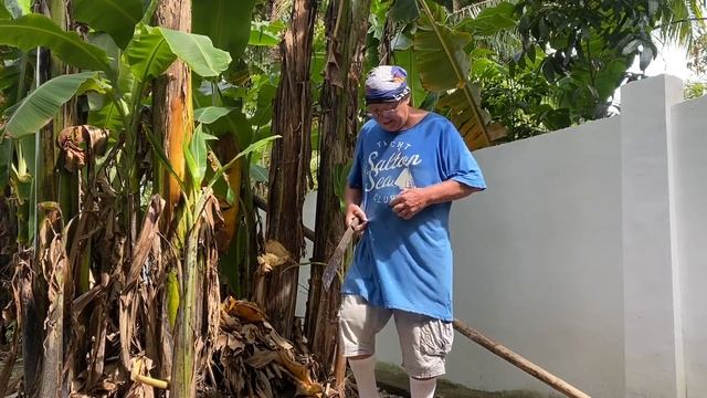 Antique,Philippines house built-How to sharpen a machete ! смотреть онлайн