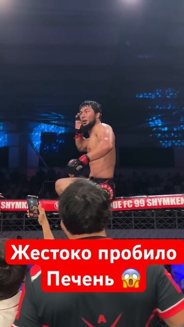 Жестокий пробил печен Горилла 🦍 #kazmma #mma #мма #бой #бои #бокс #ufc #юфс #sports #спорт смотреть онлайн