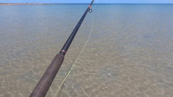 Weipa Fishing Classic!