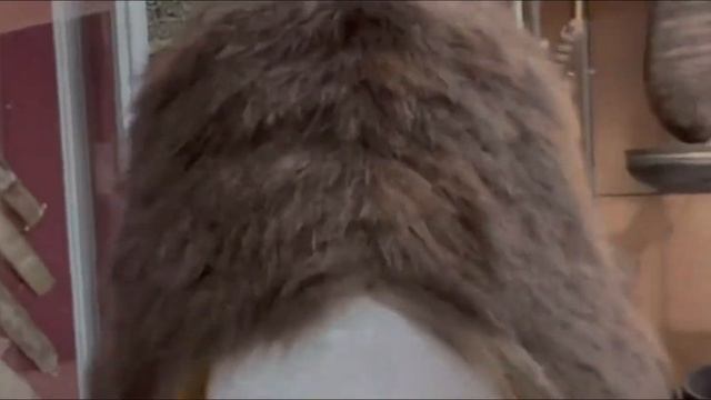 Точка соприкосновения истории - живая нить традиций смотреть онлайн