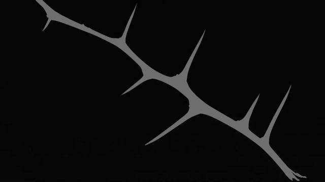 RAYOGRAPHS смотреть онлайн