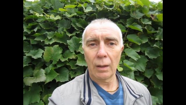 Надо ли взращивать семена в MLM смотреть онлайн