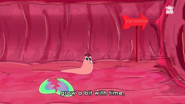 What Causes Pinworms? | The Dr. Binocs Show | Best Learning Videos For Kids | Peekaboo Kidz смотреть онлайн