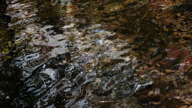 Marais : Le Tourbillon (회오리 바람) смотреть онлайн