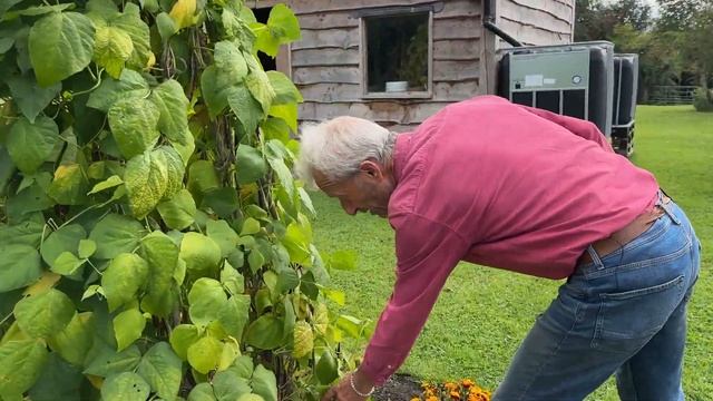 No dig abundance in my summer garden| and a few problems| Charles Dowding смотреть онлайн