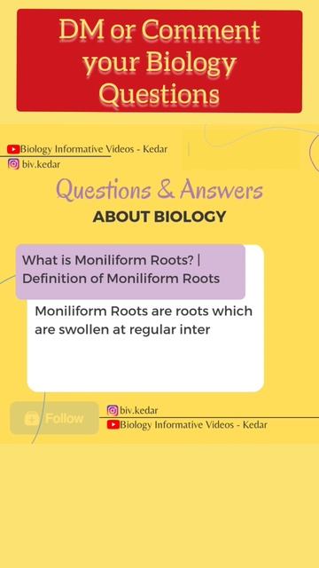 What Is Moniliform Roots? | Definition Of Moniliform Roots #shorts #root #plants #biology #bivkedar