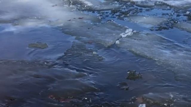 #iRinaXodus ©️ Music Piano 🎼🎶🎶 Весенняя зарисовка «Солярис». Часть 2. 🎼🎶🎶 смотреть онлайн