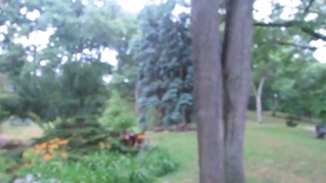 Лужа-Пруд в High Park. CANADA, TORONTO