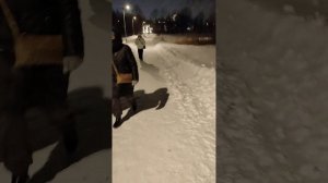 Путь от метро Ботанический сад до 42 павильона ВДНХ «Центр национальных конных традиций»
