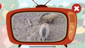 Развивающий мультфильм для детей  (познавательный мультик для малышей)