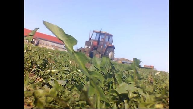 włókowanie łąki.Oczami Rolnika#1.mf 255 w akcji смотреть онлайн