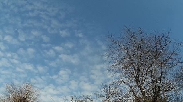 Аудіокнига "Дракула" Брем Стокер (26-27 розділи) смотреть онлайн