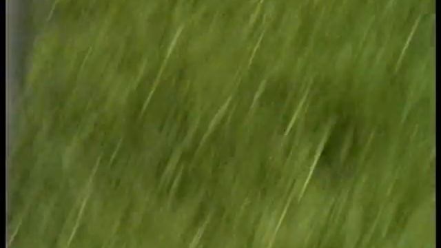 Trhac pomoooc смотреть онлайн