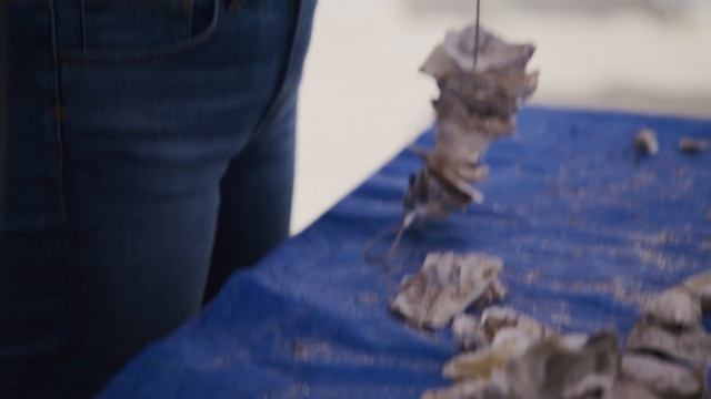 Safeguarding Our Coasts Through Oyster Restoration смотреть онлайн