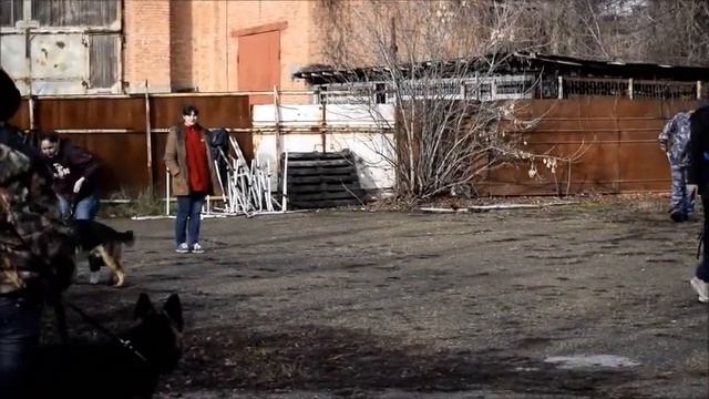 ТОрин Туарег Из Кузнецкграда доброгост 09122017 5 смотреть онлайн