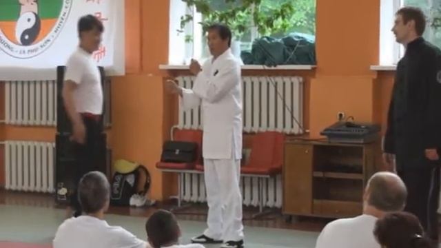 Grand Master Ly Hong Thai present Hong Gia Vietnam in Minsk. Year 2013 смотреть онлайн