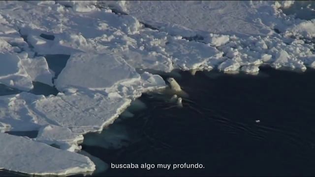 HOME La música de Armand Amar смотреть онлайн