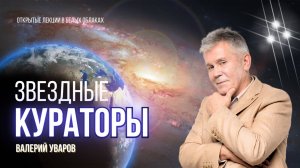 Звездные кураторы. Кто они?