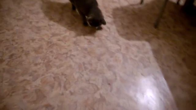 WP 20171012 002 смотреть онлайн