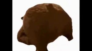 медведь тверкает под грустную музыку